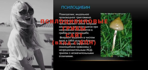 дурь Алексин