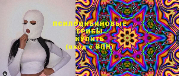 дурь Алексин