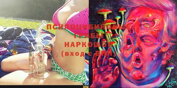 дурь Алексин